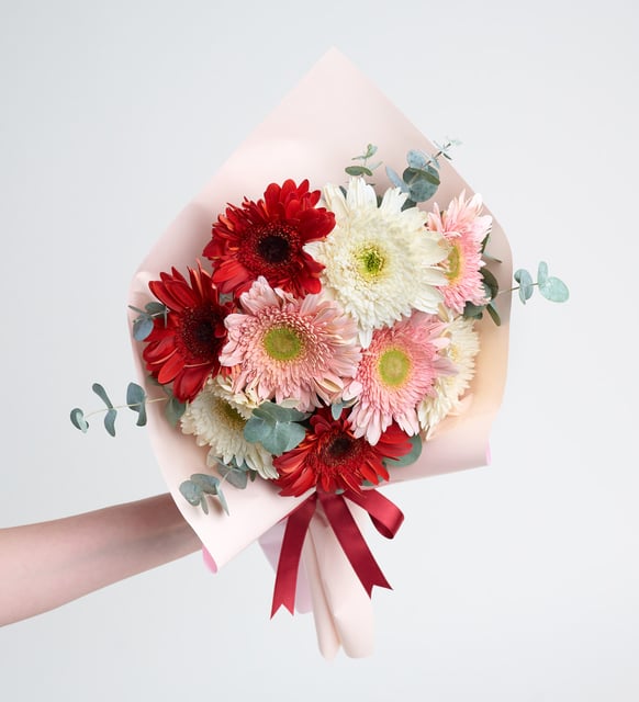 Pudra Bukette Kırmızı Pembe ve Beyaz Gerbera Aranjmanı